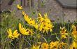 Concours de village fleuri